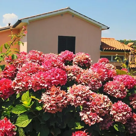 Holiday Home Ripenda Kras Holiday home Ripenda Kras